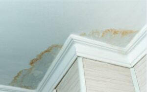 recherche de fuite d'eau